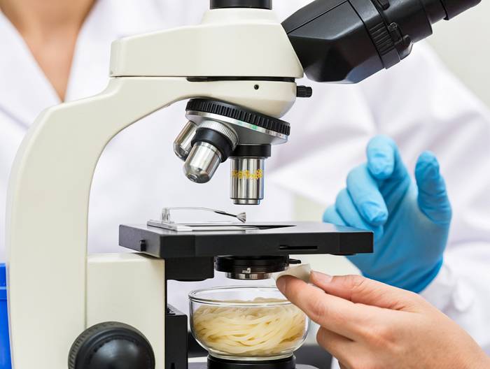 米粉转基因成分鉴定