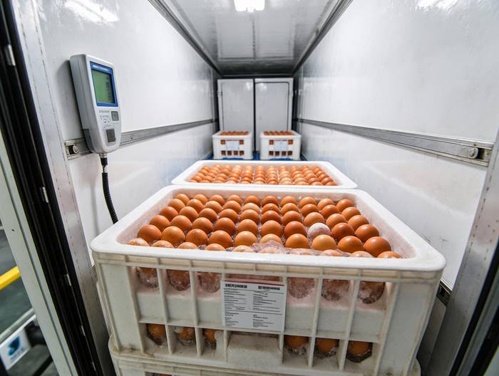 鲜鸡蛋冷链运输验证