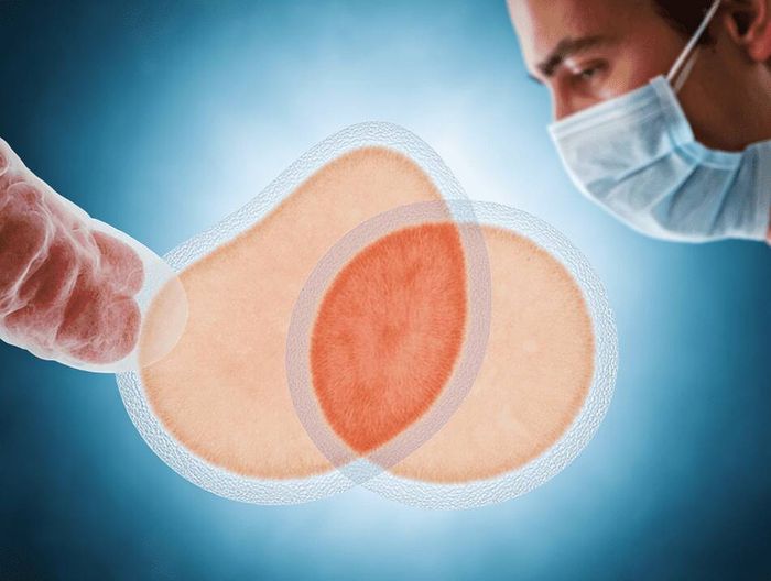 羊膜移植片生物相容性检测