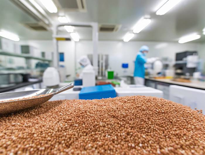 荞麦农药残留检测