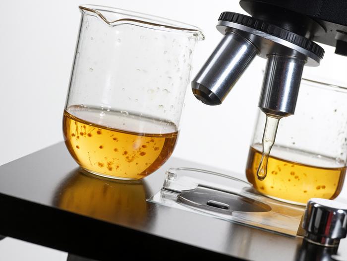 蜂蜜微生物检测