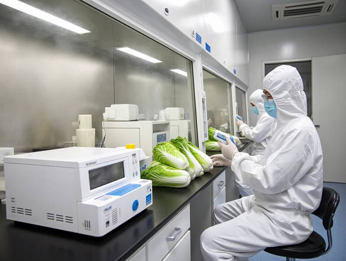 白菜农药残留检测