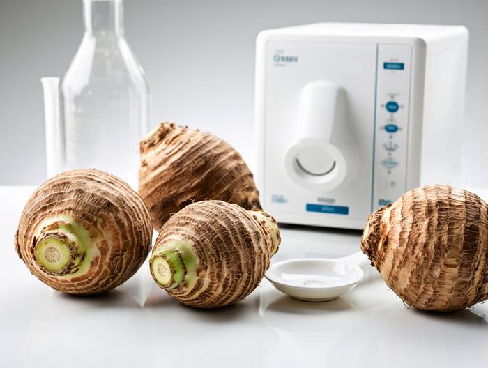 芋头农药残留检测