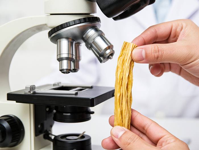 腐竹转基因成分鉴定