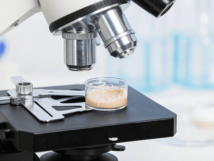 骨水泥化学表征检测