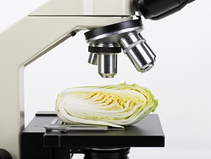 白菜微生物检测