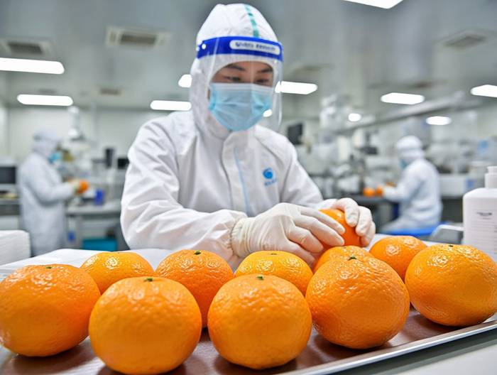 柑橘农药残留检测