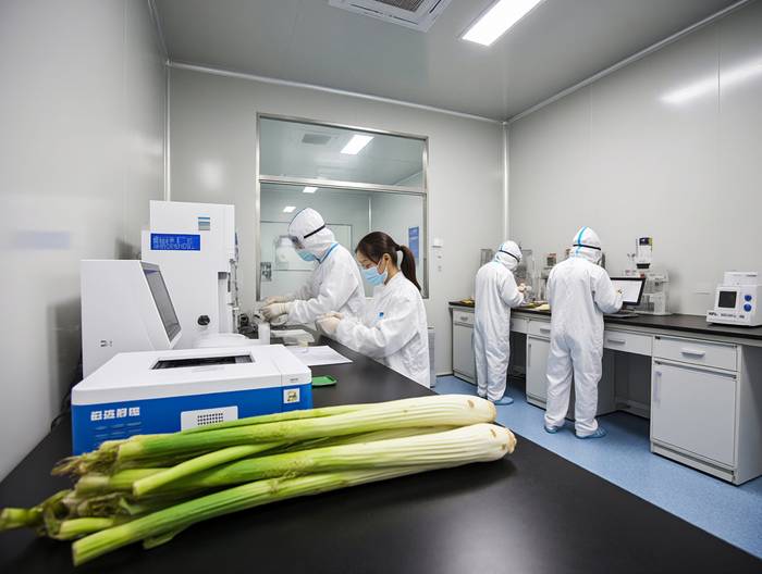 茭白农药残留检测