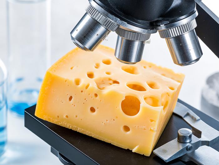 奶酪微生物检测