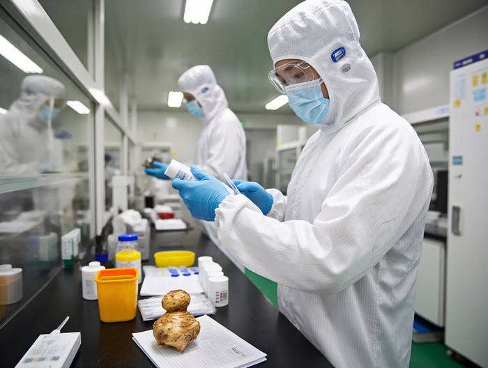 荸荠农药残留检测