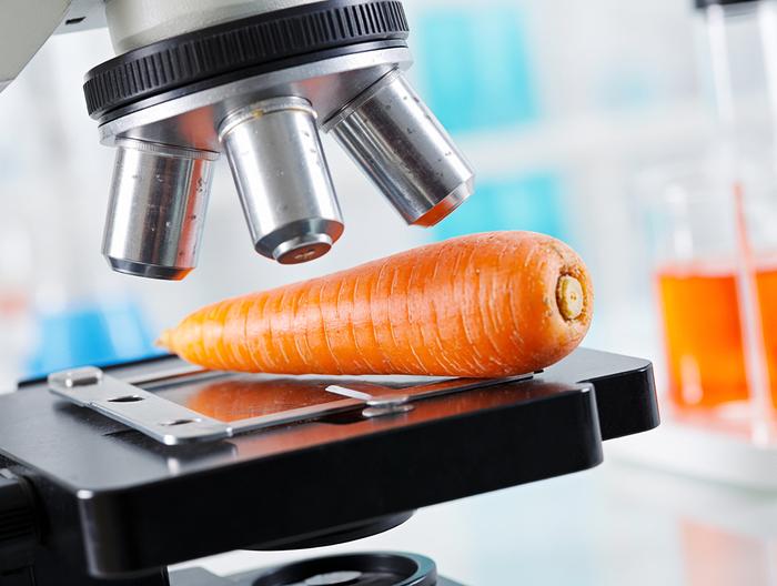 胡萝卜微生物检测