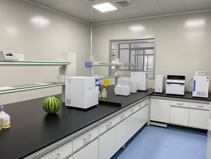 哈密瓜农药残留检测