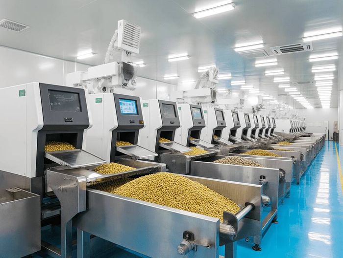 固体废物分类检测