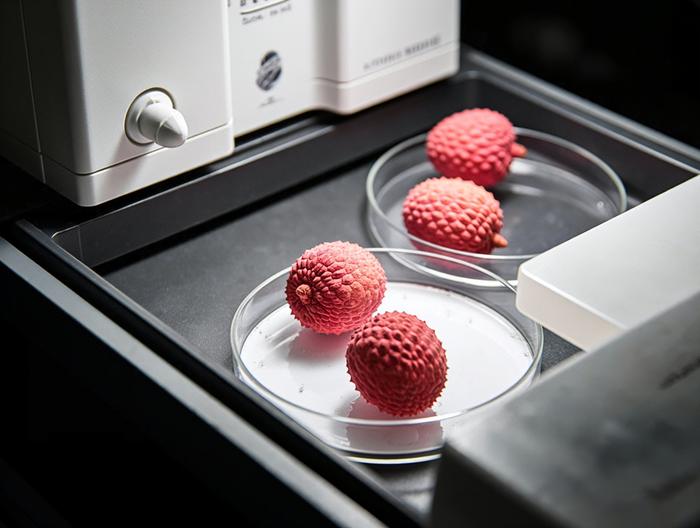 荔枝微生物检测