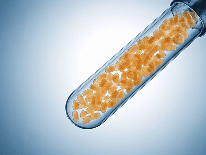 血管移植物生物相容性检测