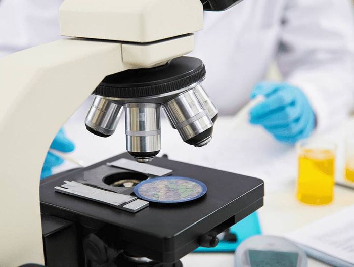 生物敷料化学表征检测