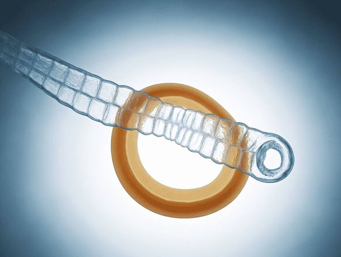 正畸橡皮圈生物相容性检测