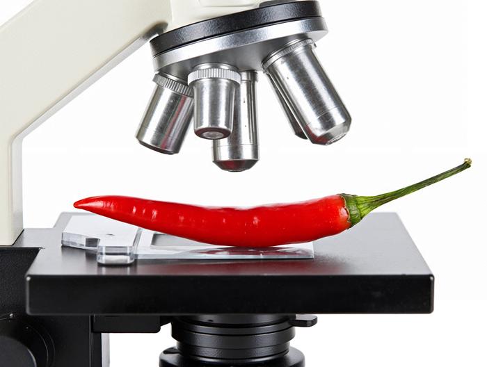 辣椒微生物检测