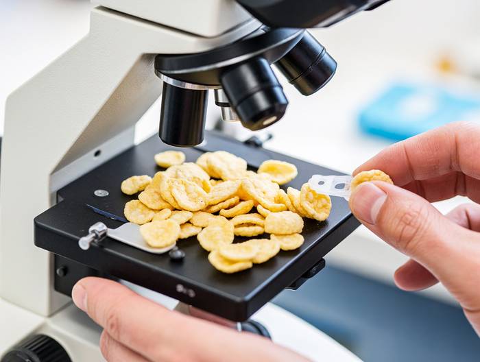 玉米片转基因成分鉴定