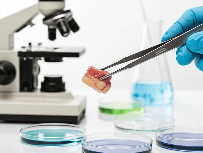 活检钳生物相容性检测