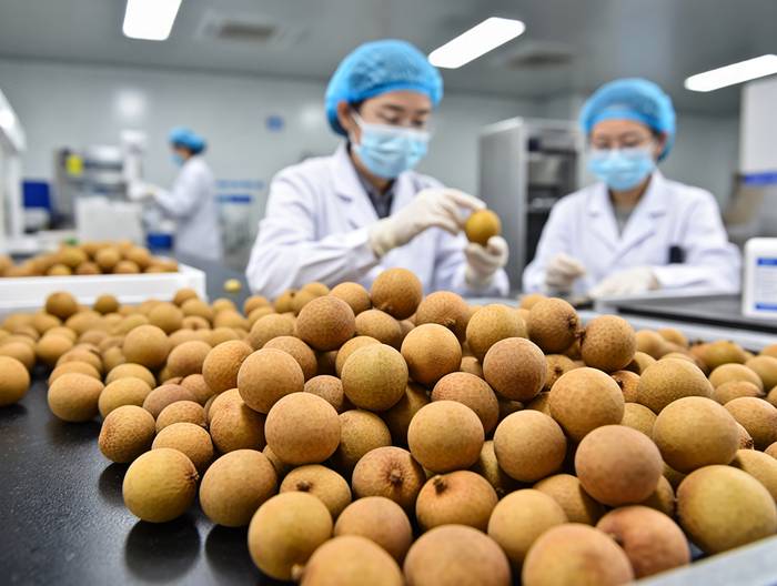 龙眼农药残留检测