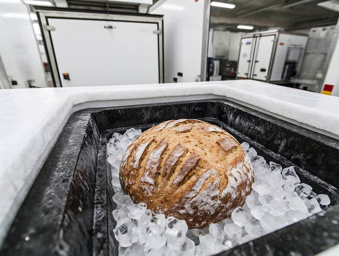 冷冻面包面团冷链运输验证