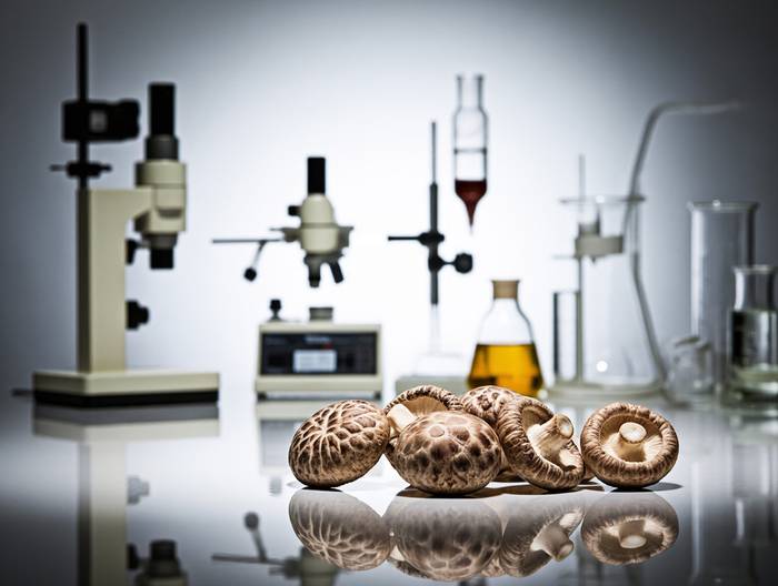 香菇农药残留检测