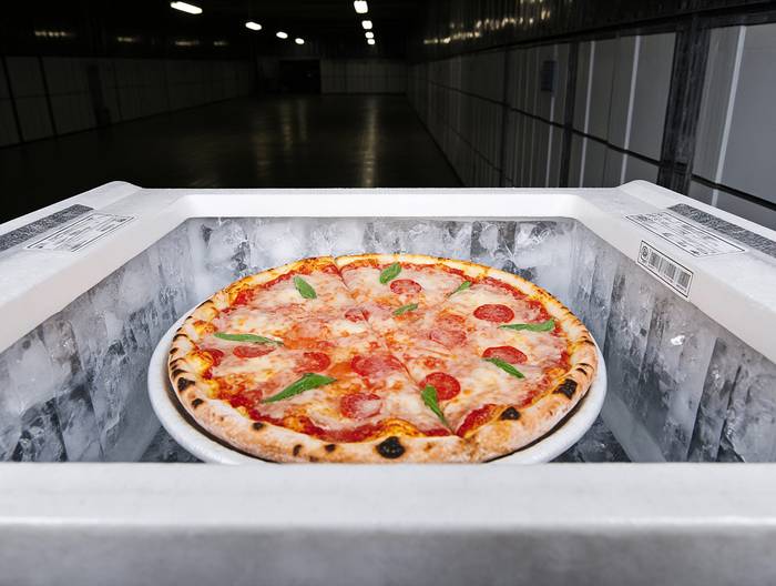 冷冻披萨冷链运输验证