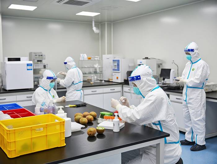 猕猴桃农药残留检测