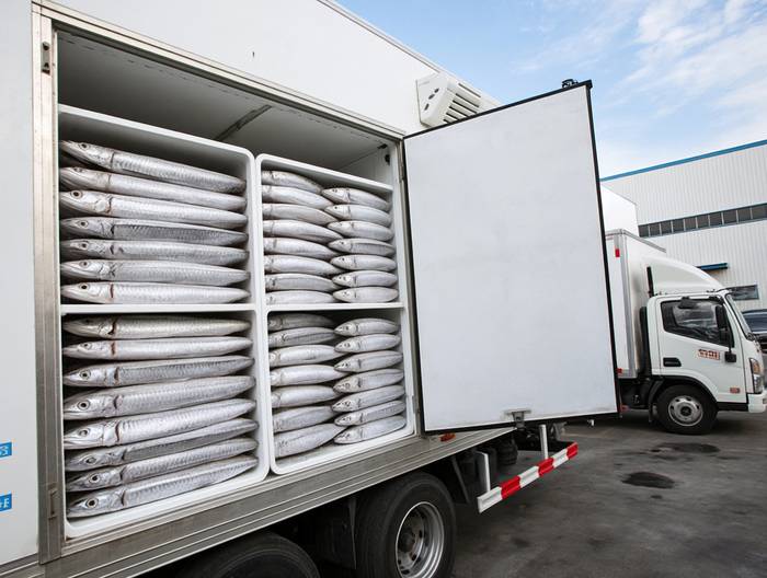 冷冻带鱼冷链运输验证