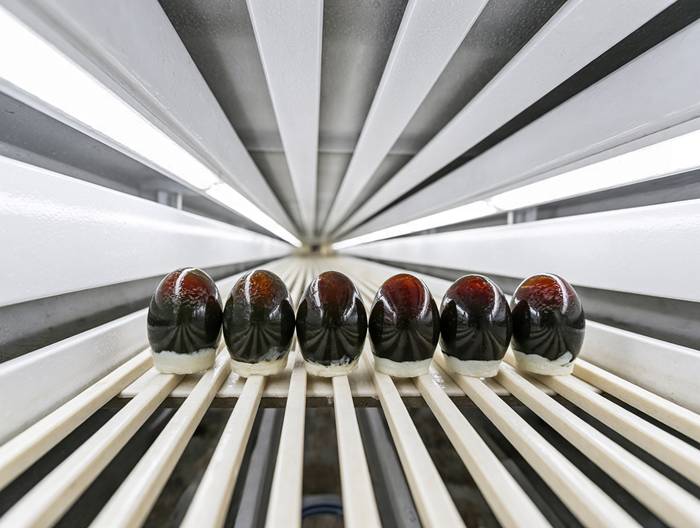 皮蛋冷链运输验证