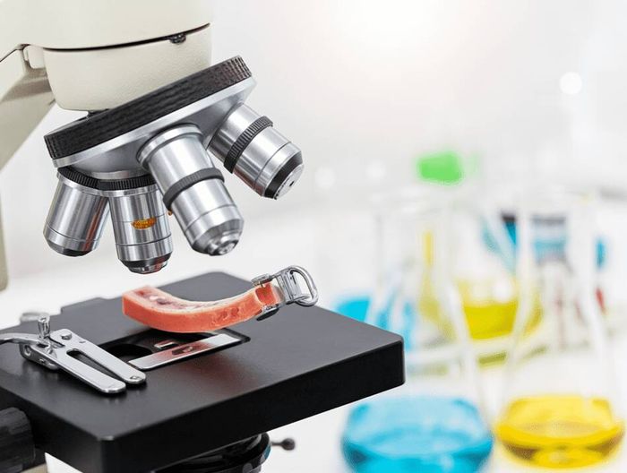 动脉瘤夹生物相容性检测