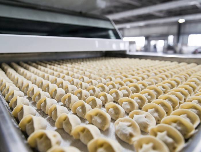 速冻饺子冷链运输验证