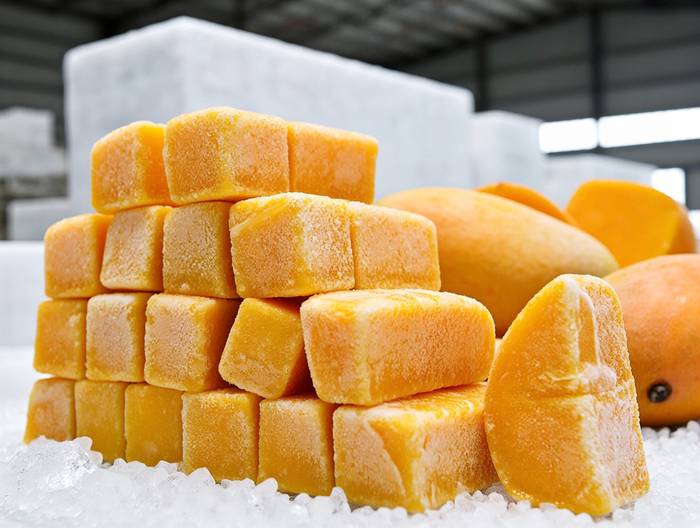 冷冻芒果块冷链运输验证