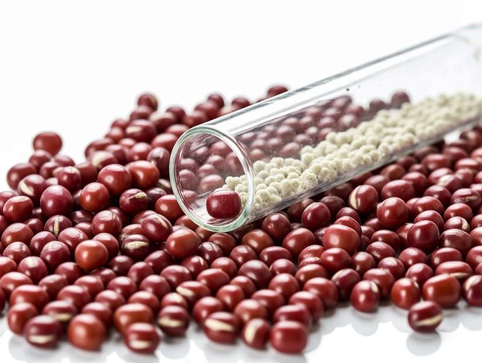 红豆微生物检测