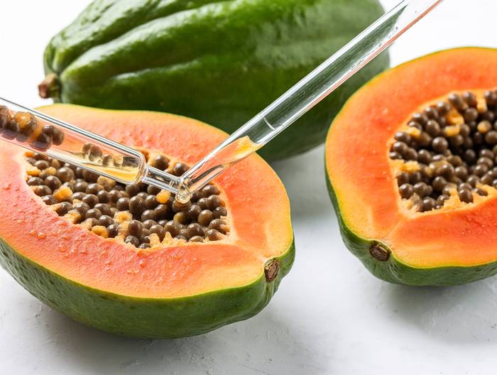 番木瓜转基因成分鉴定