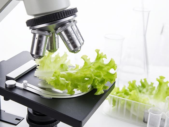 生菜微生物检测