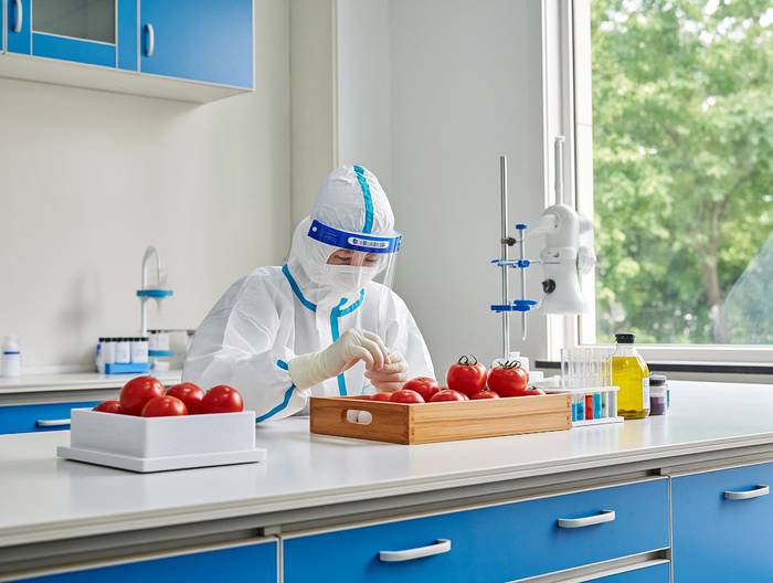 番茄农药残留检测