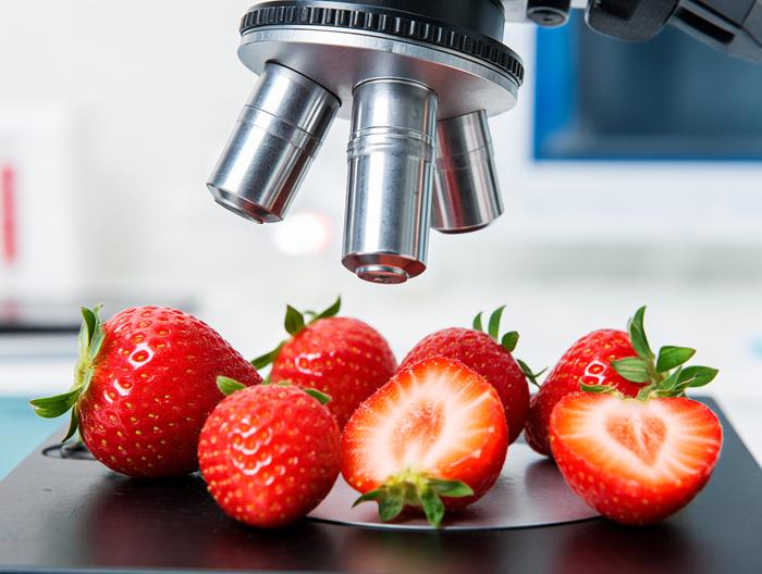 草莓微生物检测