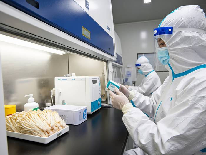 金针菇农药残留检测