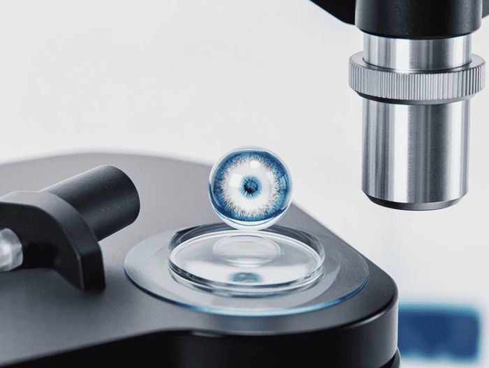 眼内透镜生物相容性检测