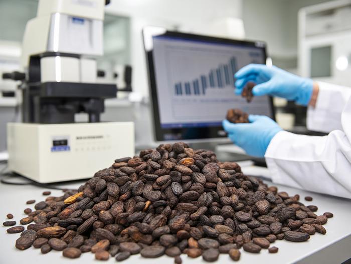 天然橡胶材料成分分析