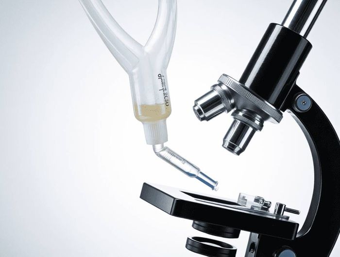 导尿管化学表征检测