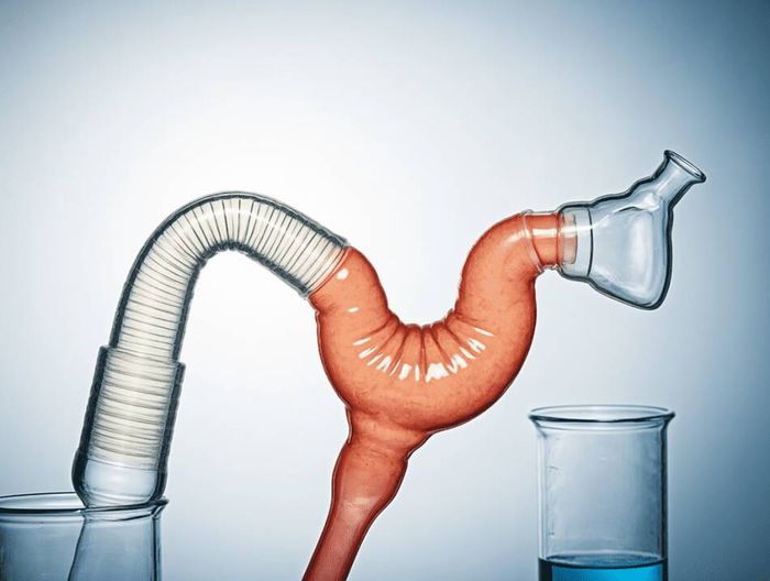 鼻胃管生物相容性检测