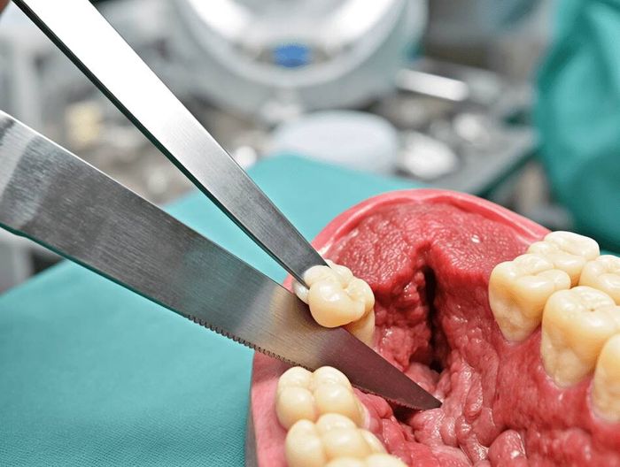 手术刀片生物相容性检测