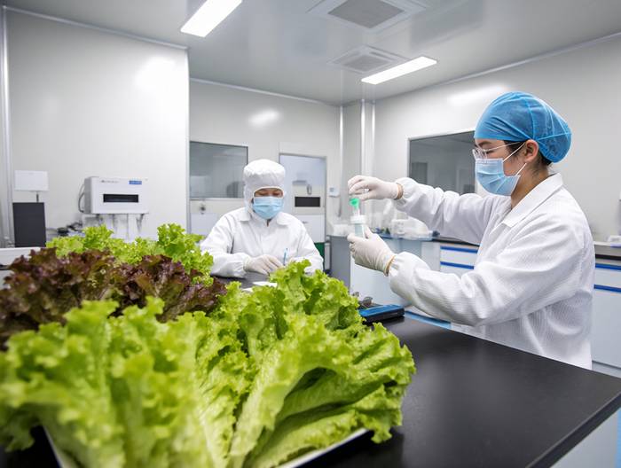 生菜农药残留检测