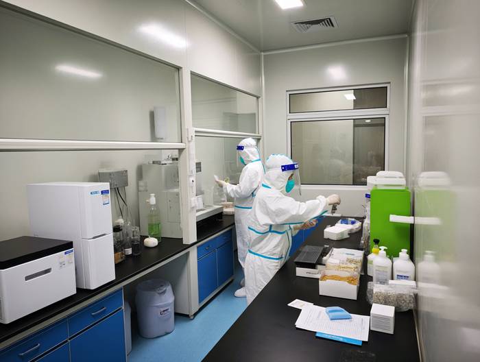 芝麻农药残留检测