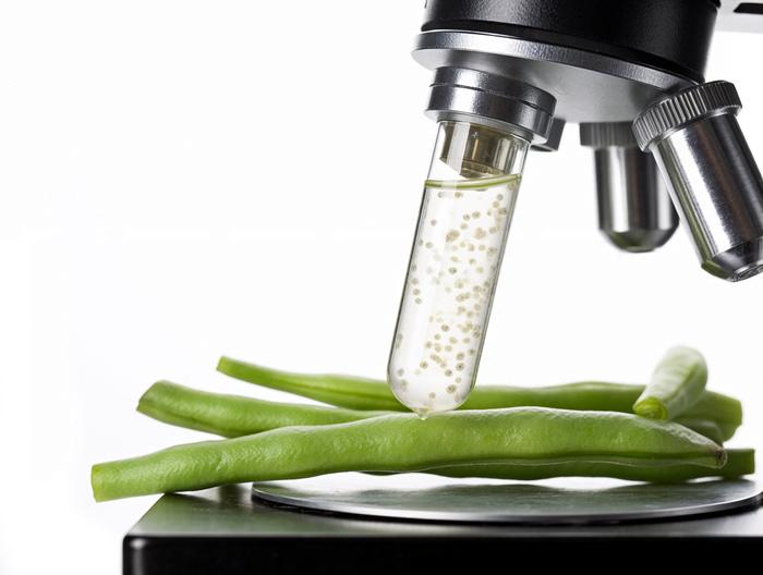 豆角微生物检测