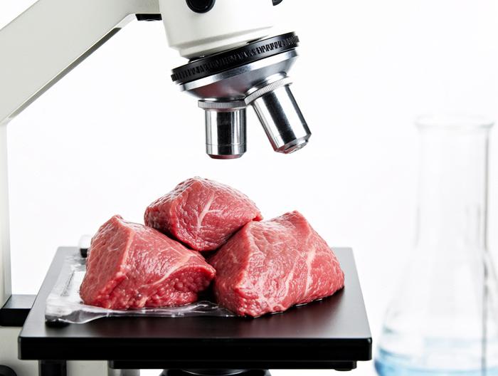 牛肉微生物检测