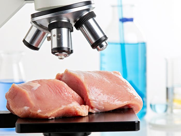 鸡肉微生物检测